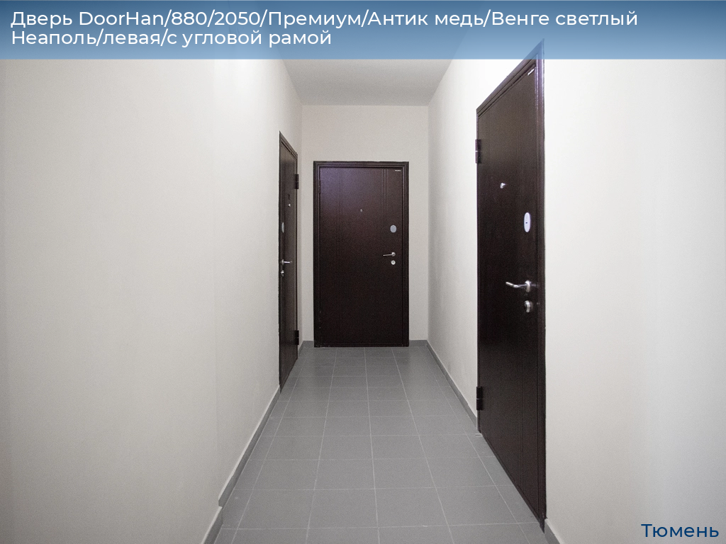 Дверь DoorHan/880/2050/Премиум/Антик медь/Венге светлый Неаполь/левая/с угловой рамой, tyumen.doorhan.ru