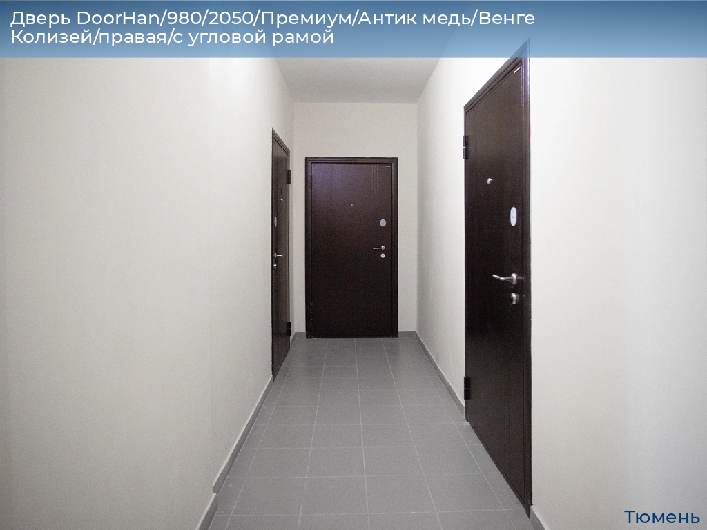 Дверь DoorHan/980/2050/Премиум/Антик медь/Венге Колизей/правая/с угловой рамой, tyumen.doorhan.ru