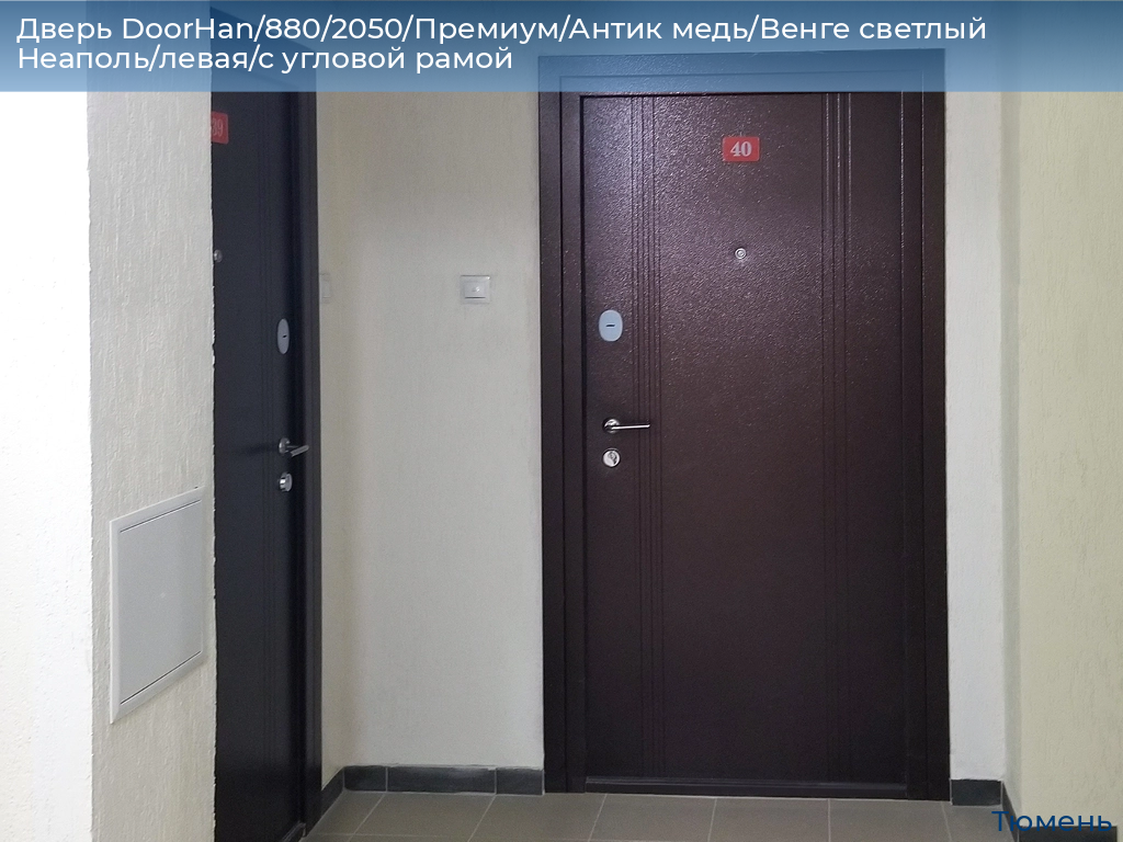 Дверь DoorHan/880/2050/Премиум/Антик медь/Венге светлый Неаполь/левая/с угловой рамой, tyumen.doorhan.ru
