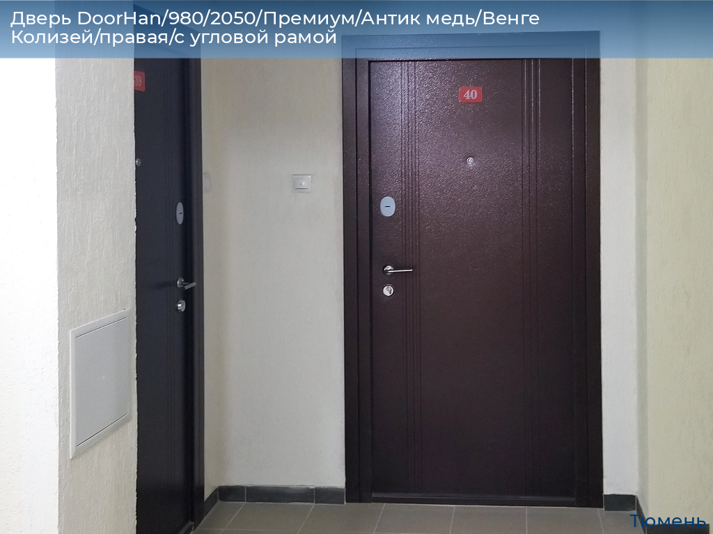 Дверь DoorHan/980/2050/Премиум/Антик медь/Венге Колизей/правая/с угловой рамой, tyumen.doorhan.ru