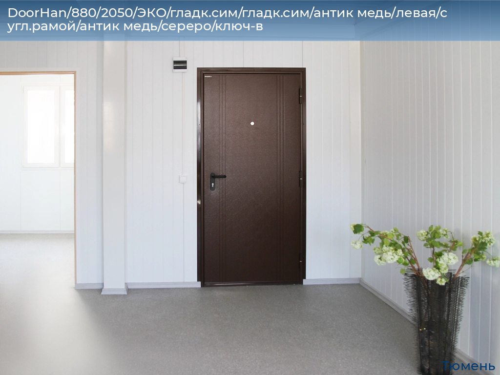 DoorHan/880/2050/ЭКО/гладк.сим/гладк.сим/антик медь/левая/с угл.рамой/антик медь/сереро/ключ-в, tyumen.doorhan.ru